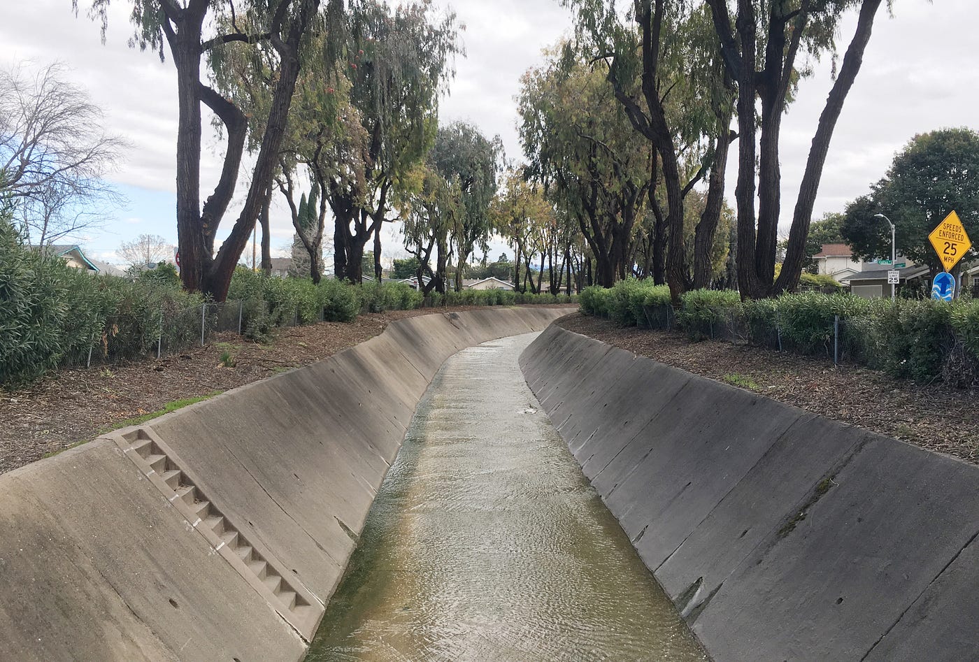 Excavating Calabazas Creek: An Inefficient Route Through