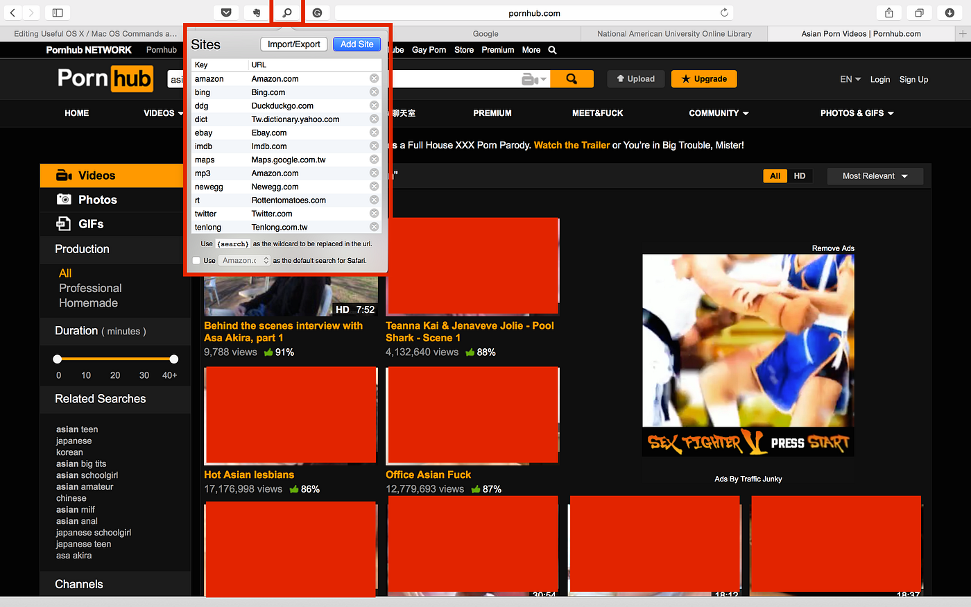 Safari URL Search