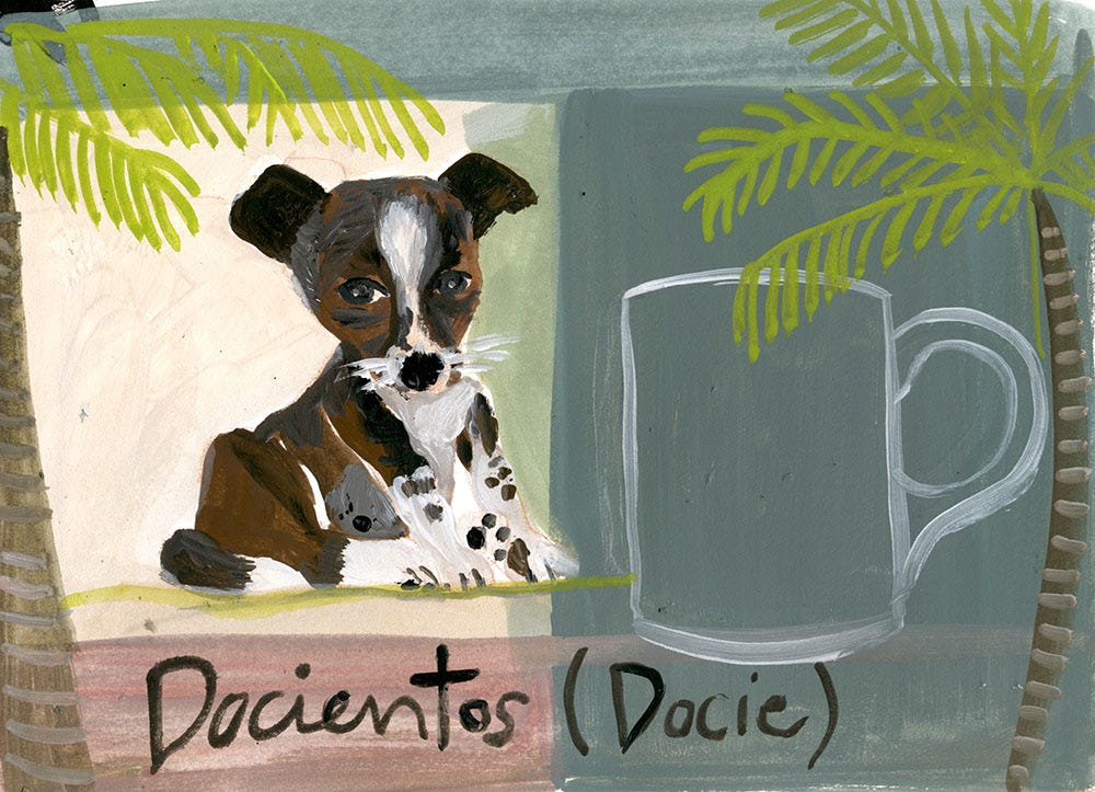 My Dog Story. If you brought your dog to our house… | by