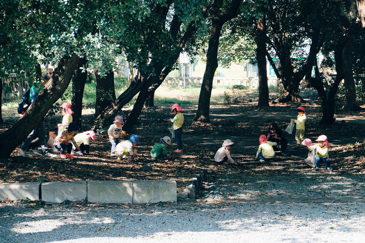 Place-Based Learning and Service Learning: How to Reignite Your Teaching with Purpose and Community