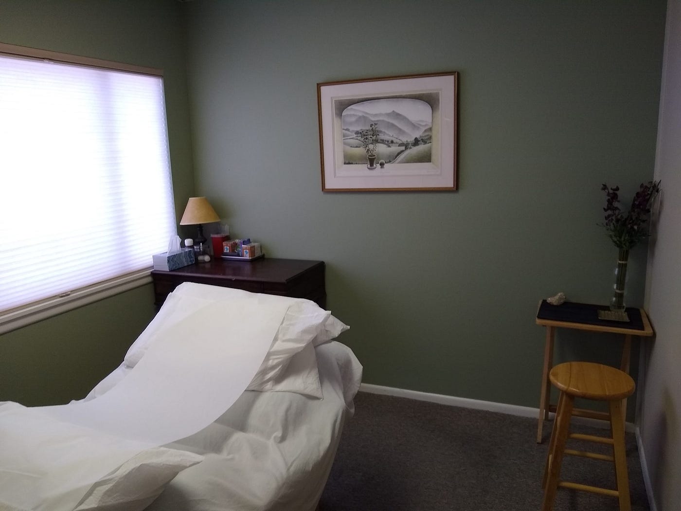 Wild Roots Chinese Medicine & Acupuncture Clinic