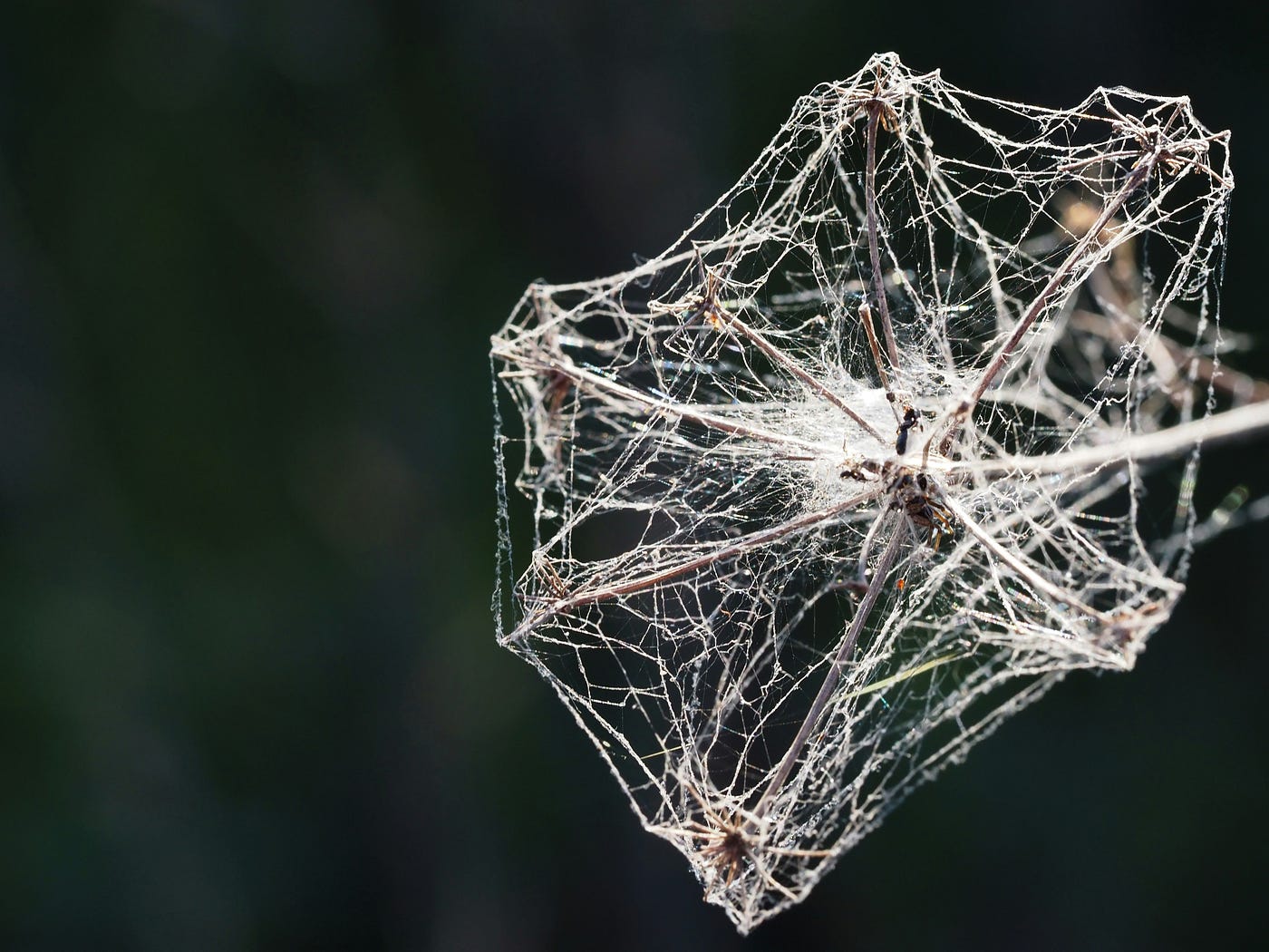Korean Medicine 101 #24: Stagnation — The Hidden Pattern Behind Tension, Bloating, and “Nothing…