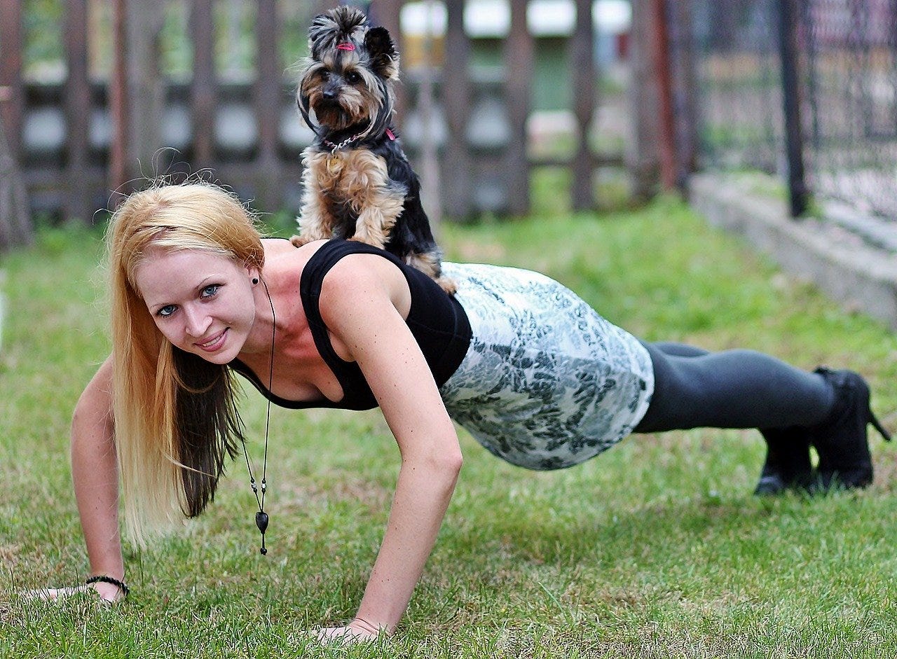 Get in shape! Five reasons why you should exercise with your dog