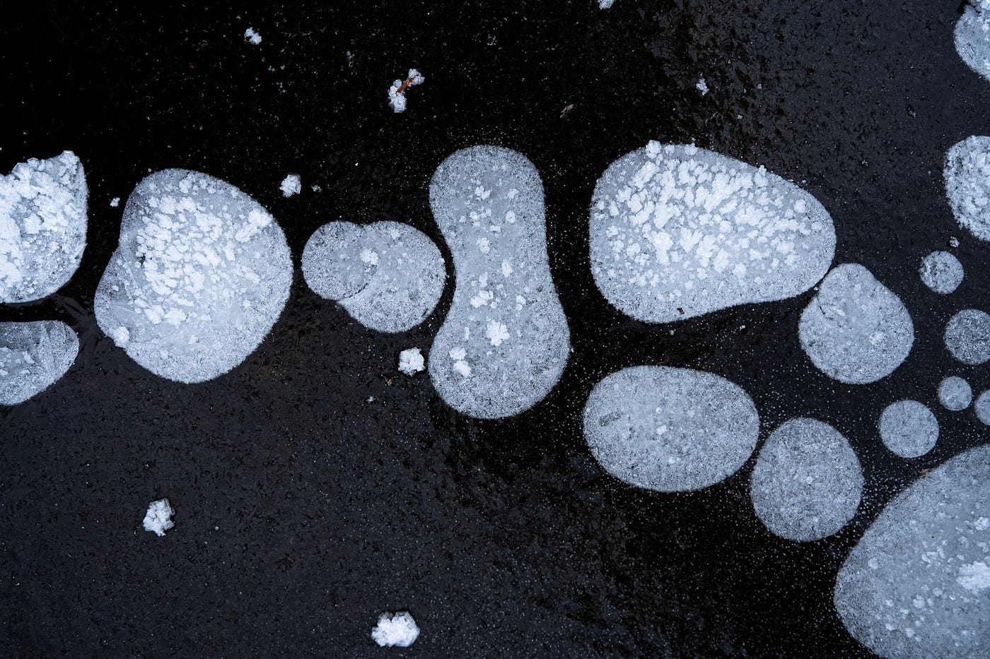 The Worst Climate News of the Year Is a Patch of Cold Water (photo by author)