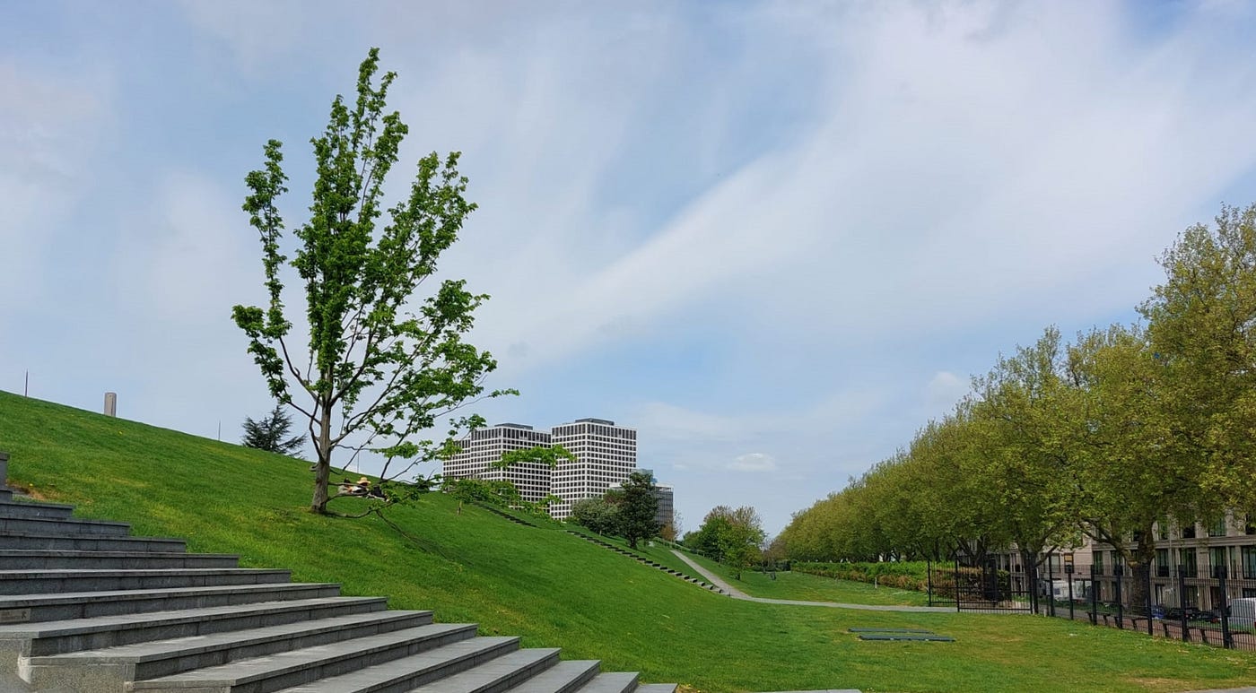 De verborgen parel van Rotterdam-West.