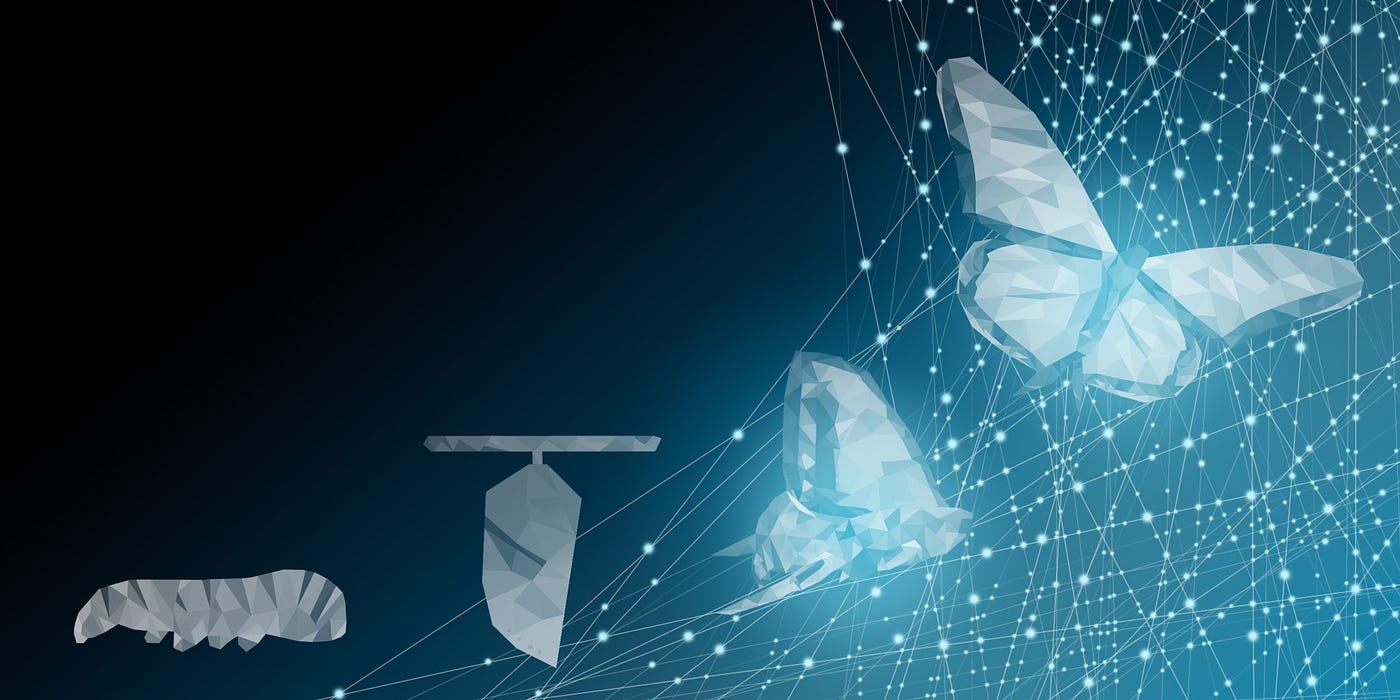 Adobe’s Digital Transformation Journey