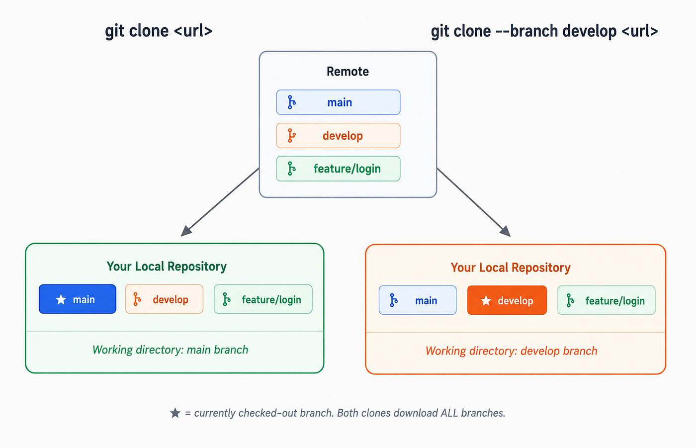 Figure 4: The — branch flag changes which branch your working directory lands on. Both clones still download all branches.