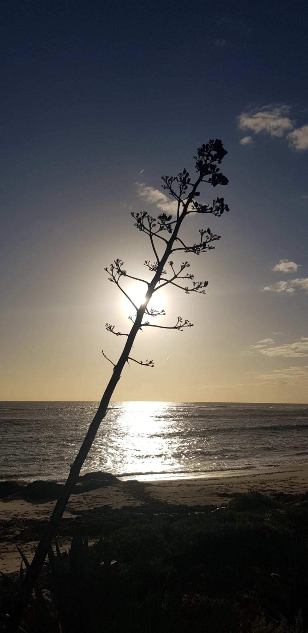 Yamatji Coast Sunset © Lady Donga Diaries 2024