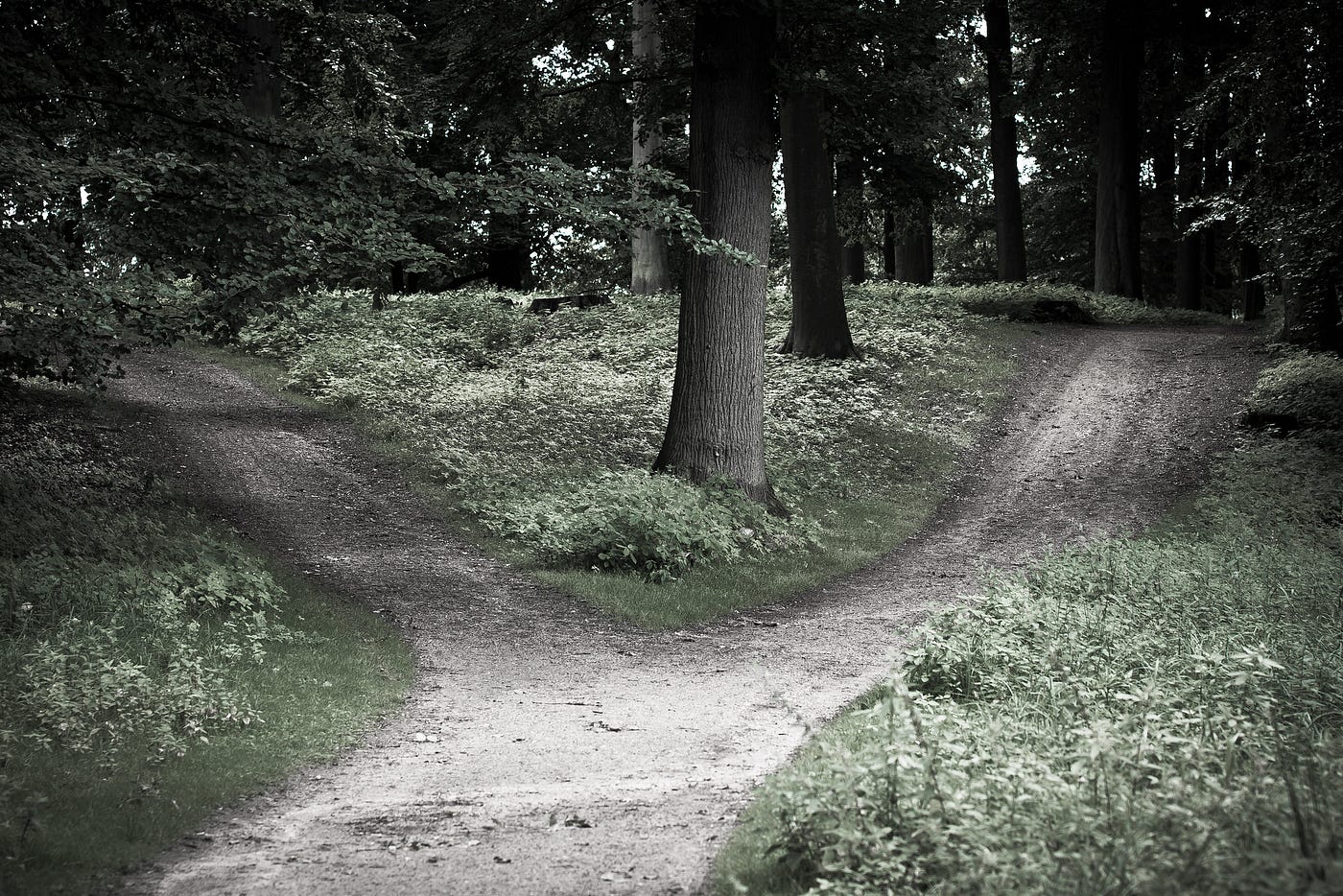 Navigating the Crossroads of Legacy and Innovation in Self-Sovereign Identifier Solutions