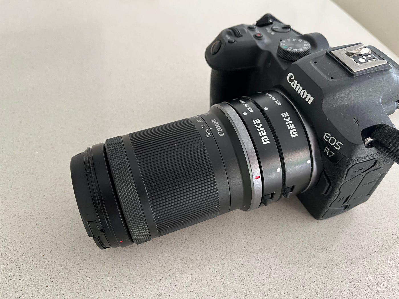 Photographing Insects: Raynox DCR-250 vs. Extension Tubes