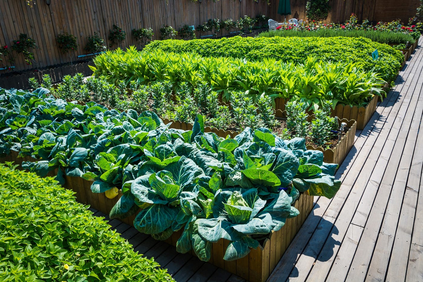 The Secret to Container Vegetable Gardening