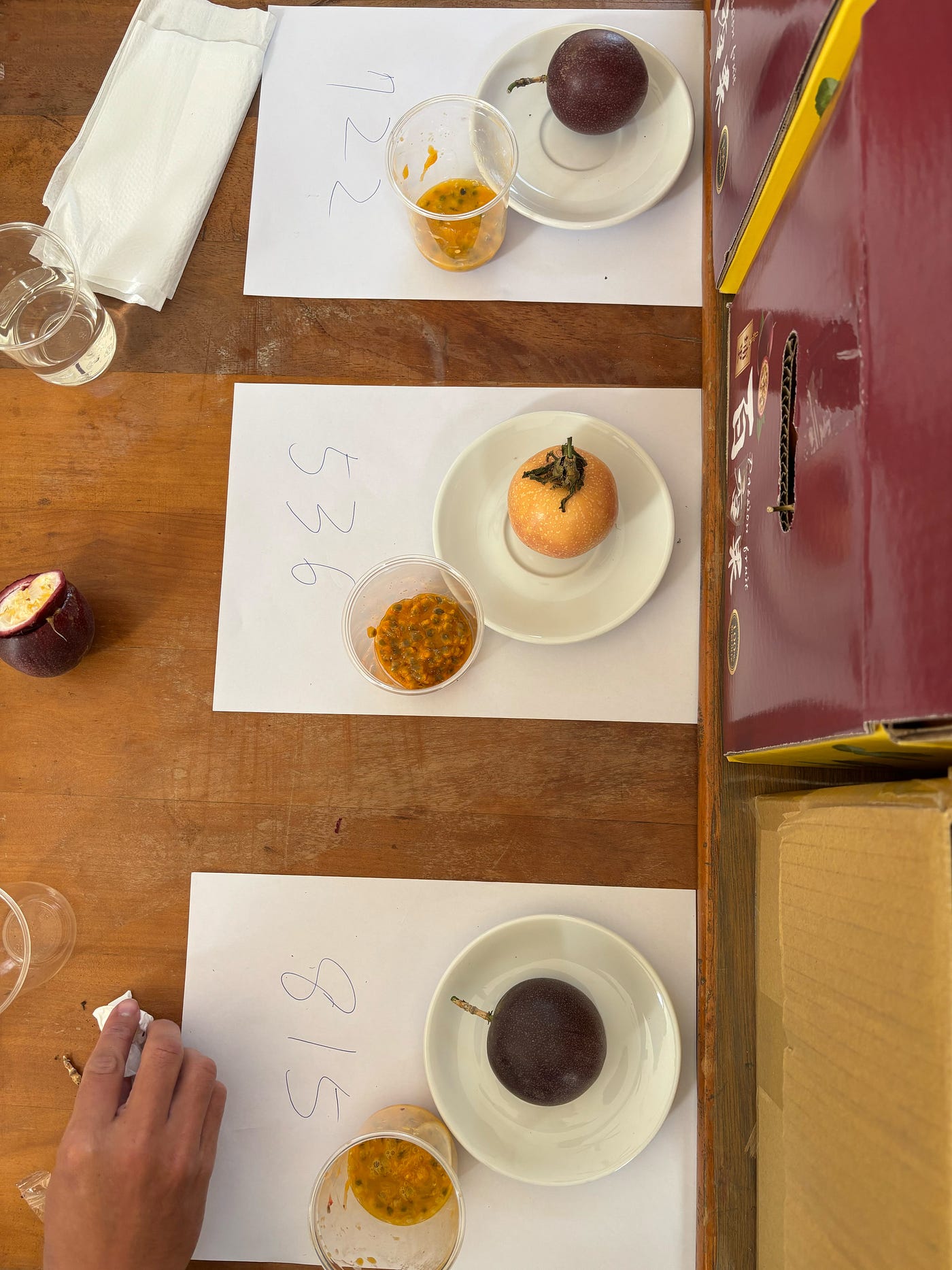 A Declaration of Independence for Taiwanese Fruit: Reclaiming a Global Language for Passion Fruit…