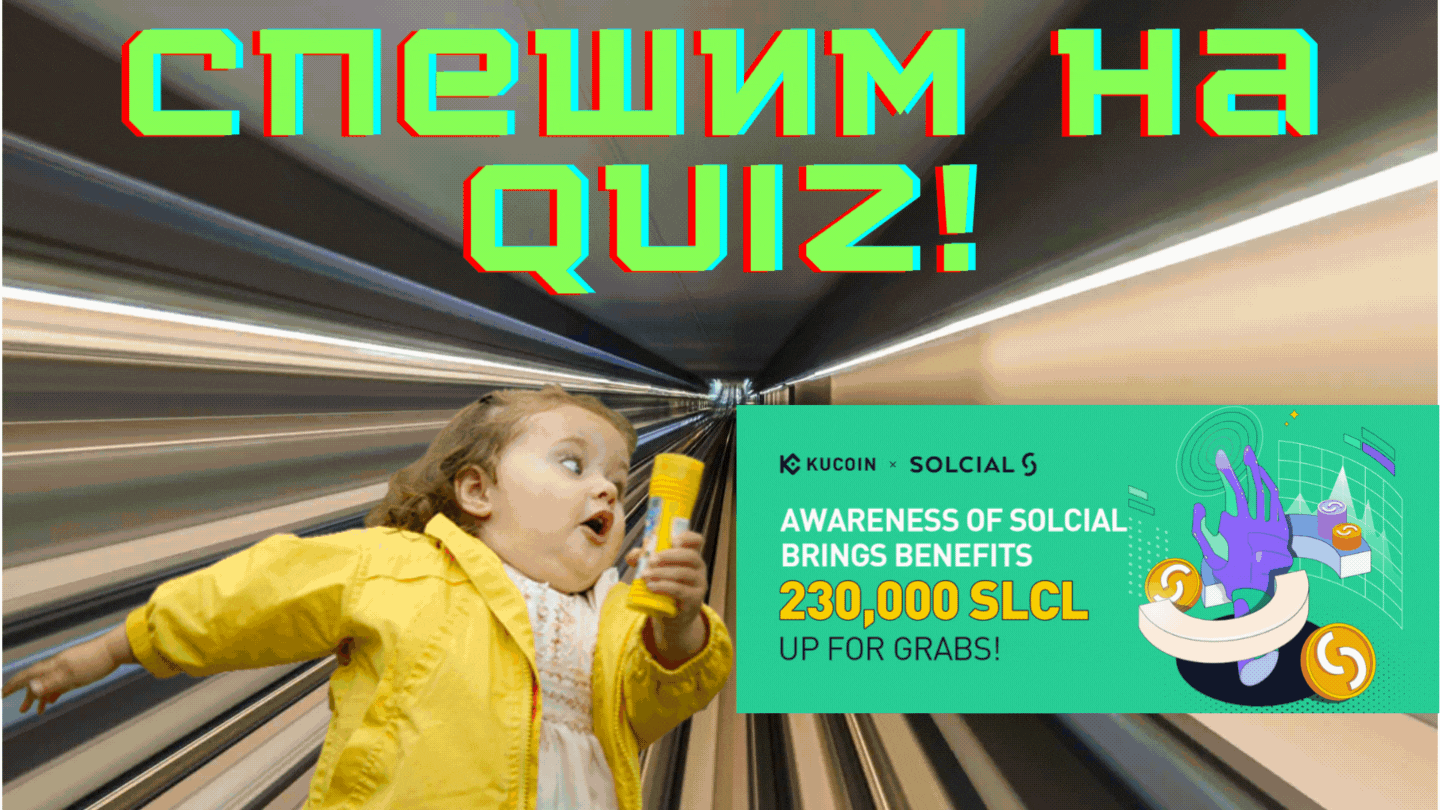 Оставался 1 день…А они так и не узнали про новый Quiz от Solcial
