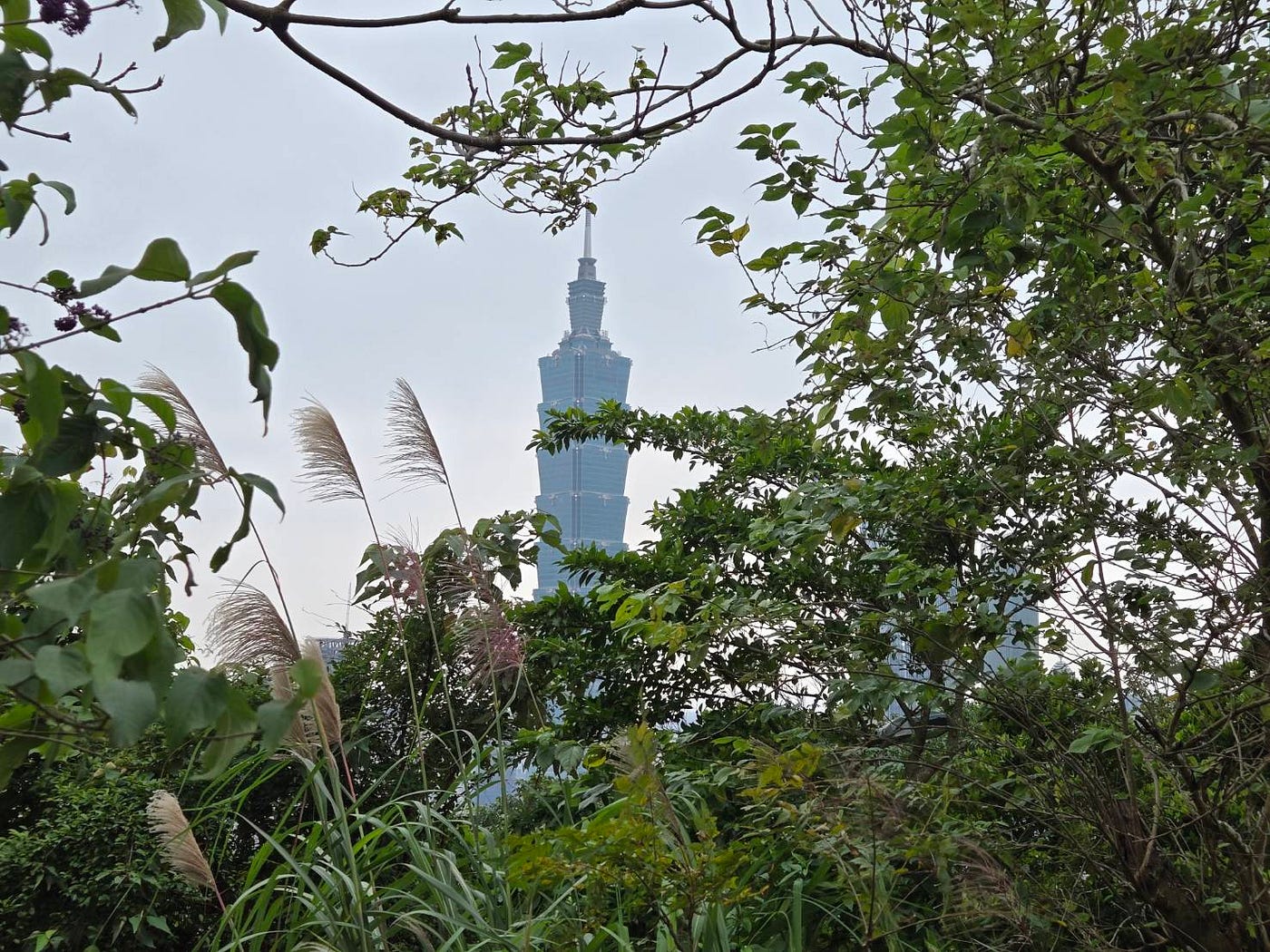 Elephant Mountain Trail — Taipei 101.