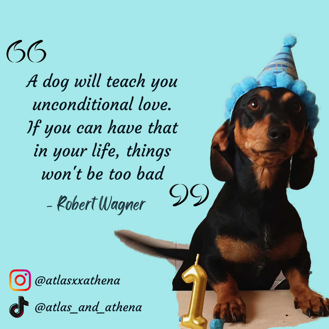 Happy Birthday To Your Dog Quotes