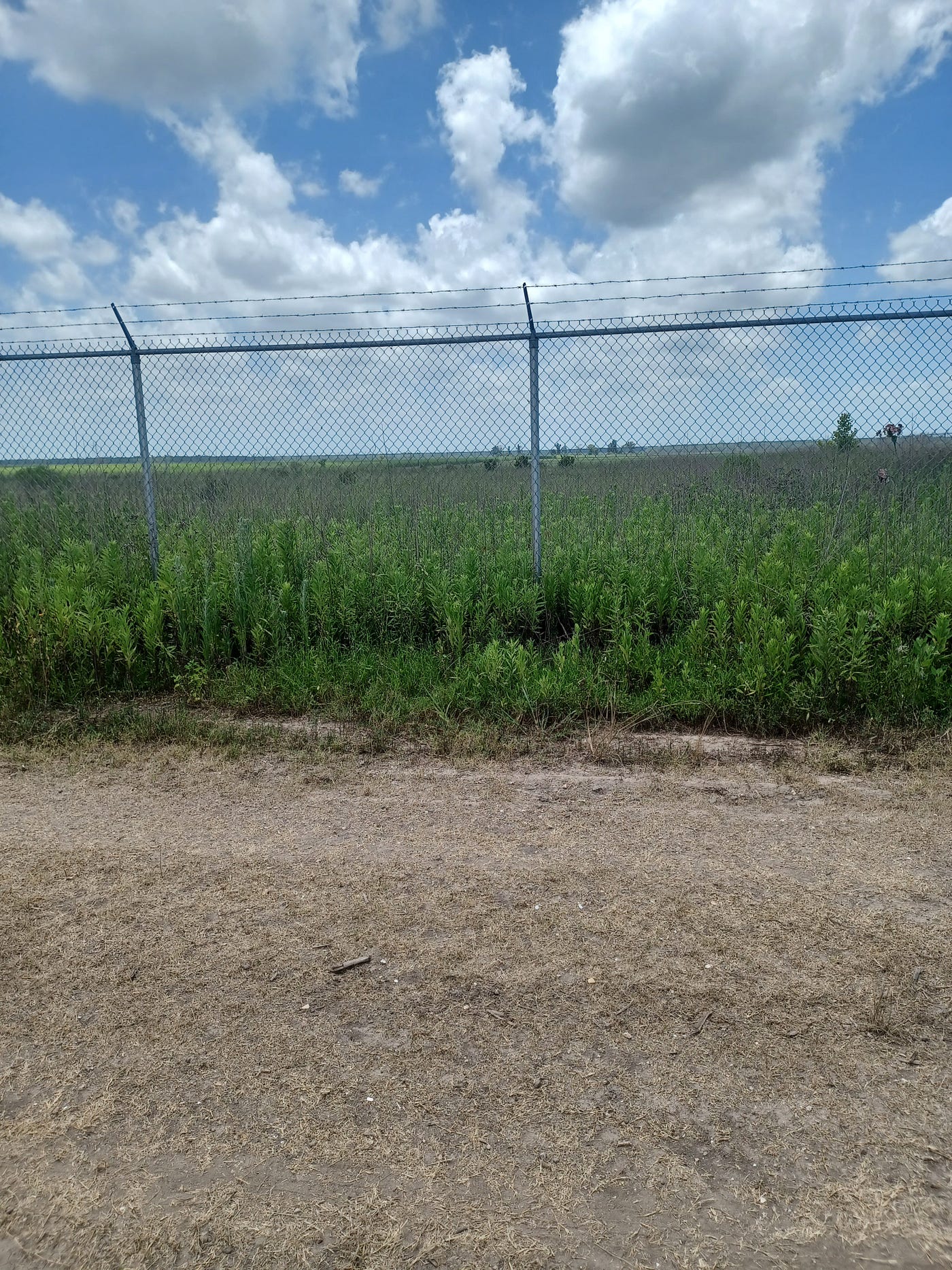 Graveyard Visit. at the Old Buena Vista Plantation in… | by David Steinman  | Medium