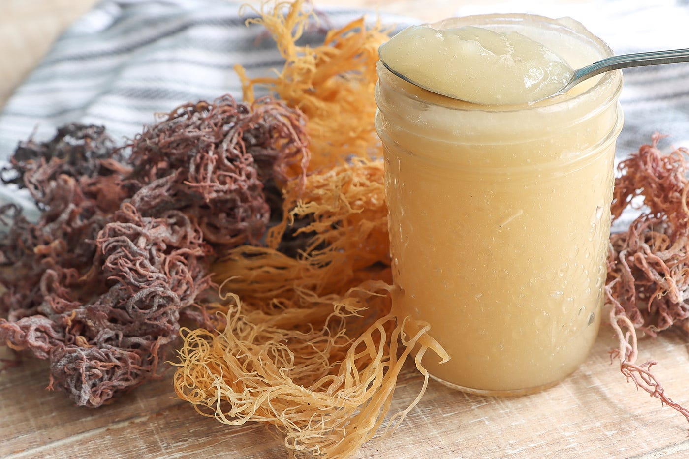 Sea Moss Benefits and Side Effects: All You Must Know | by Charles Omedo |  Medium