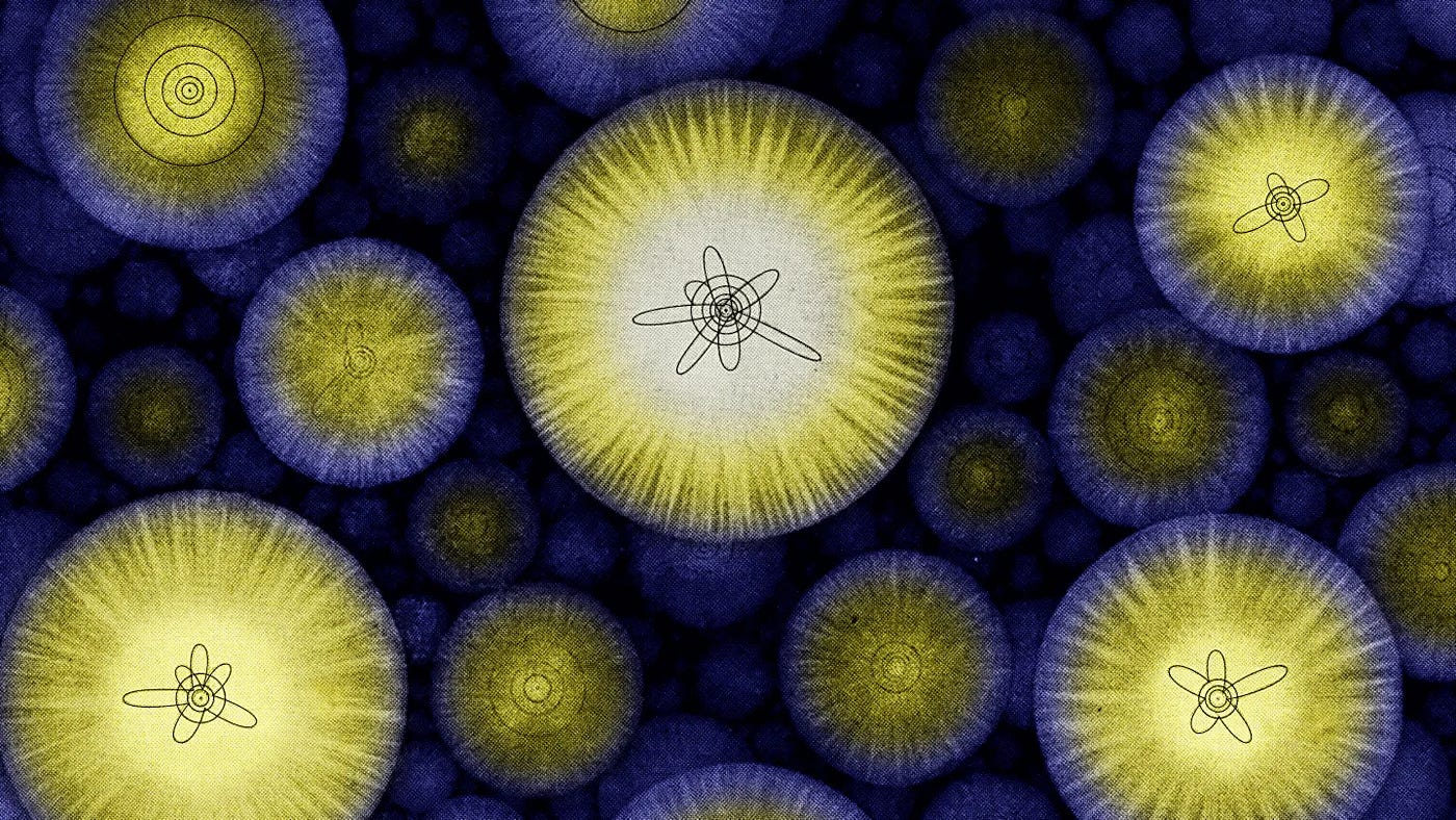 How a single atom contains the entire quantum Universe