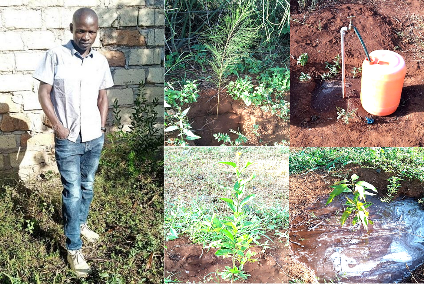 Impact of Dryland Restoration in ASAL Kenya Through Community Tree Planting Stewardship.