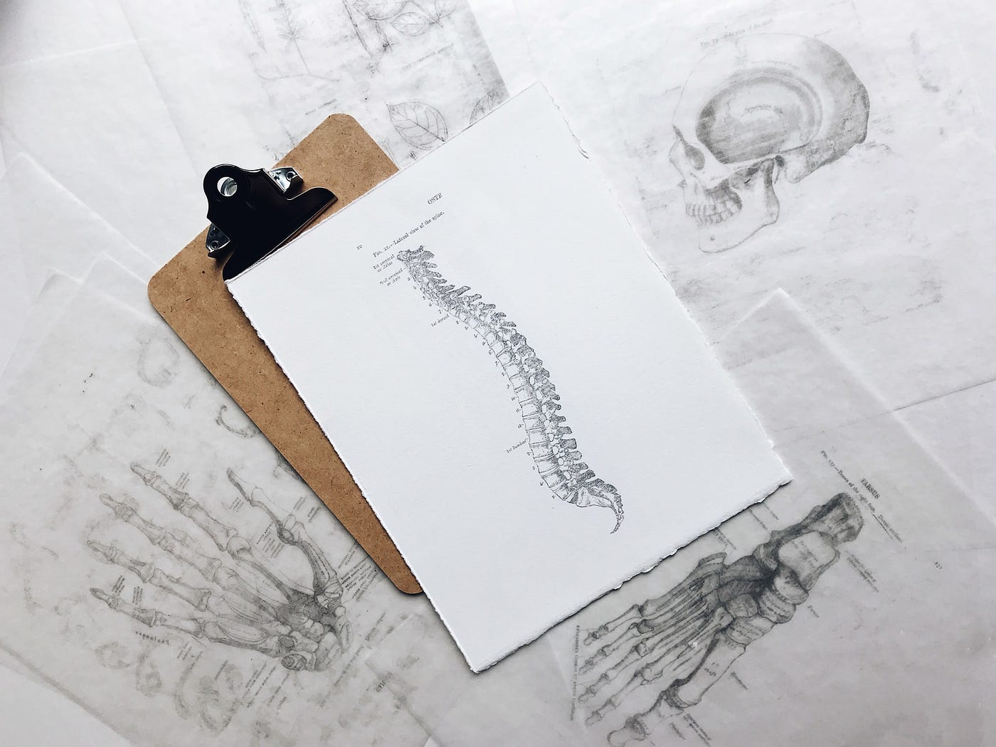 An Alternative to Rising Up the Spine from Anus — The Lumbar-sacrum Point Approach