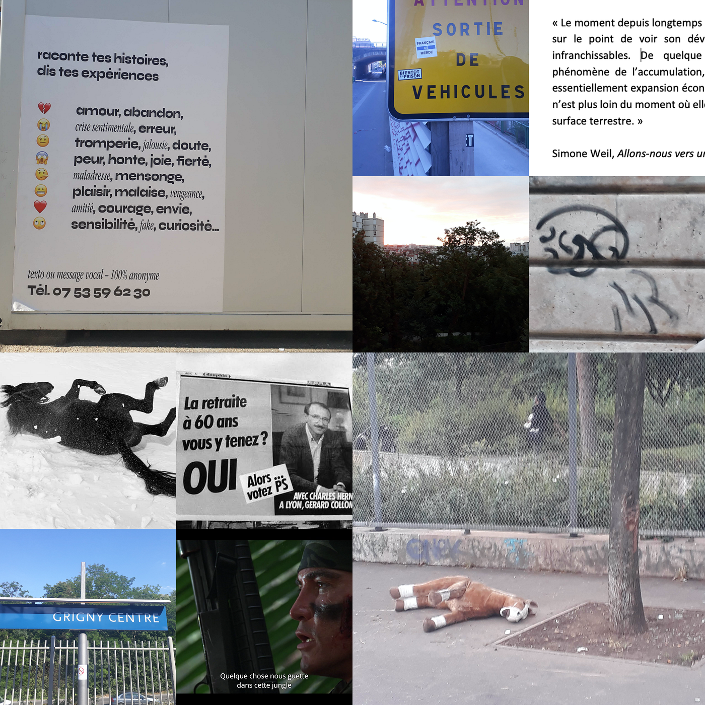 journal furtif — les sternes chassent