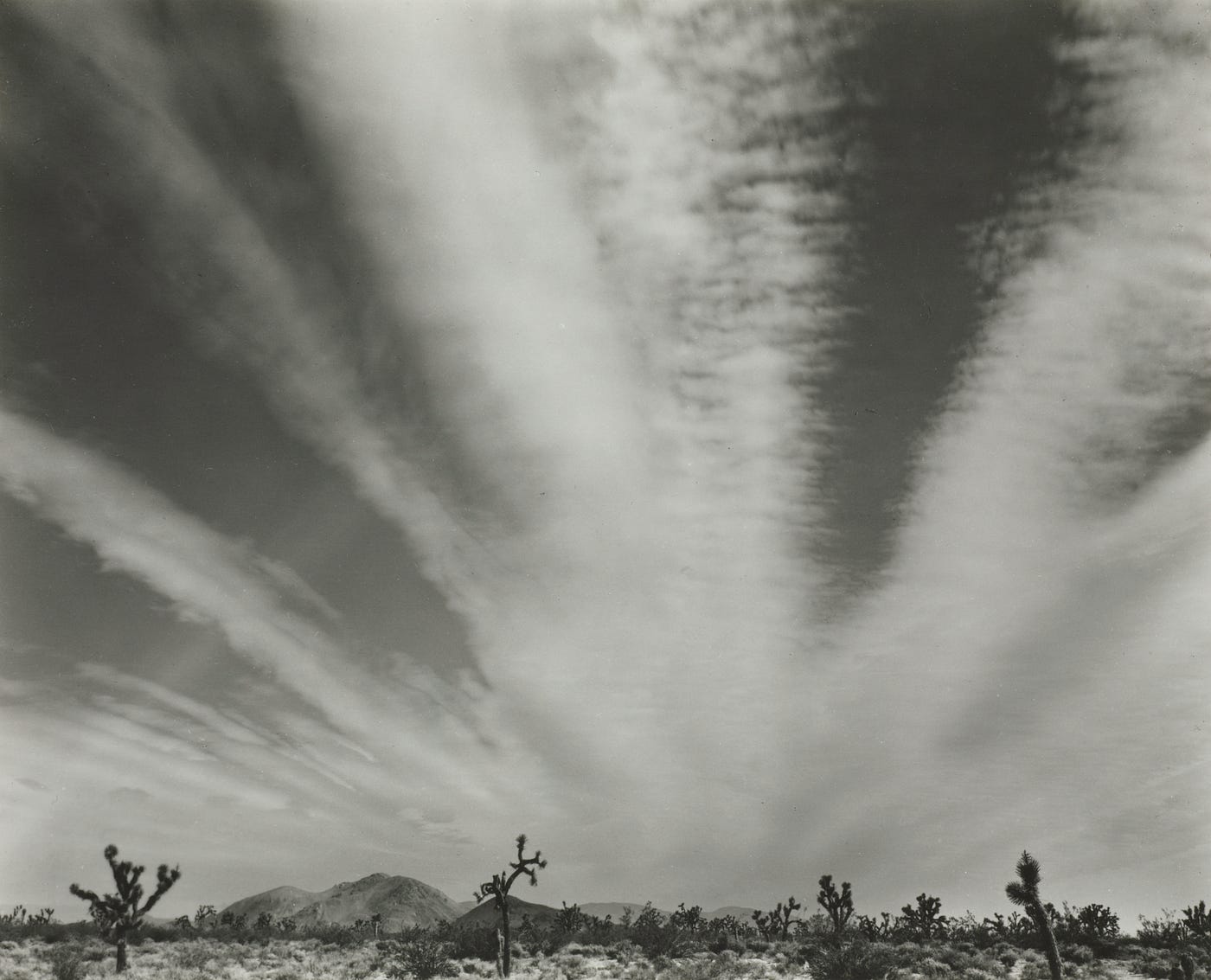 Like Father, Like Son: Edward and Brett Weston | by