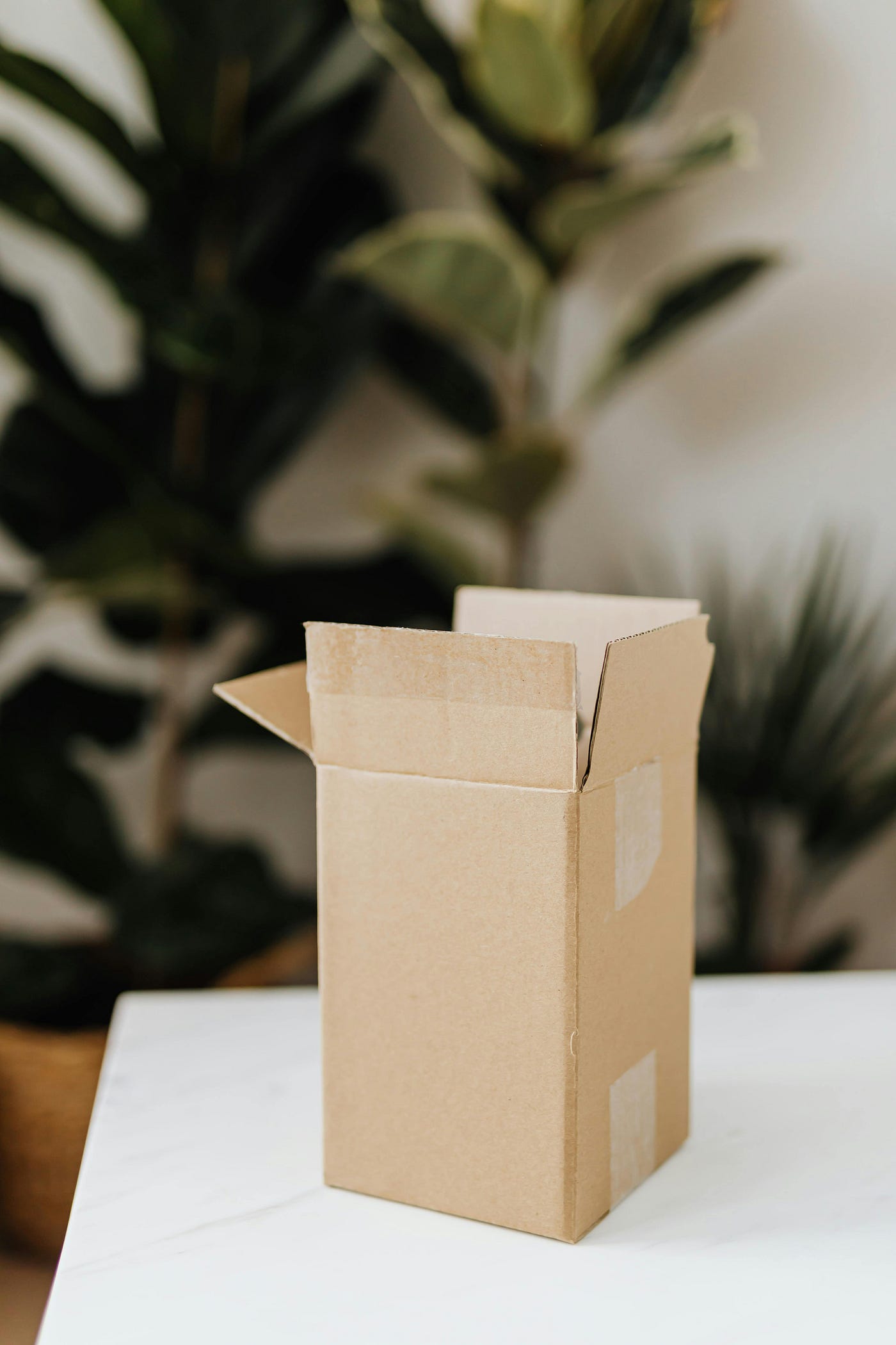 Shadows in the Marketplace: A Beginner’s Guide to Production Test Tenants