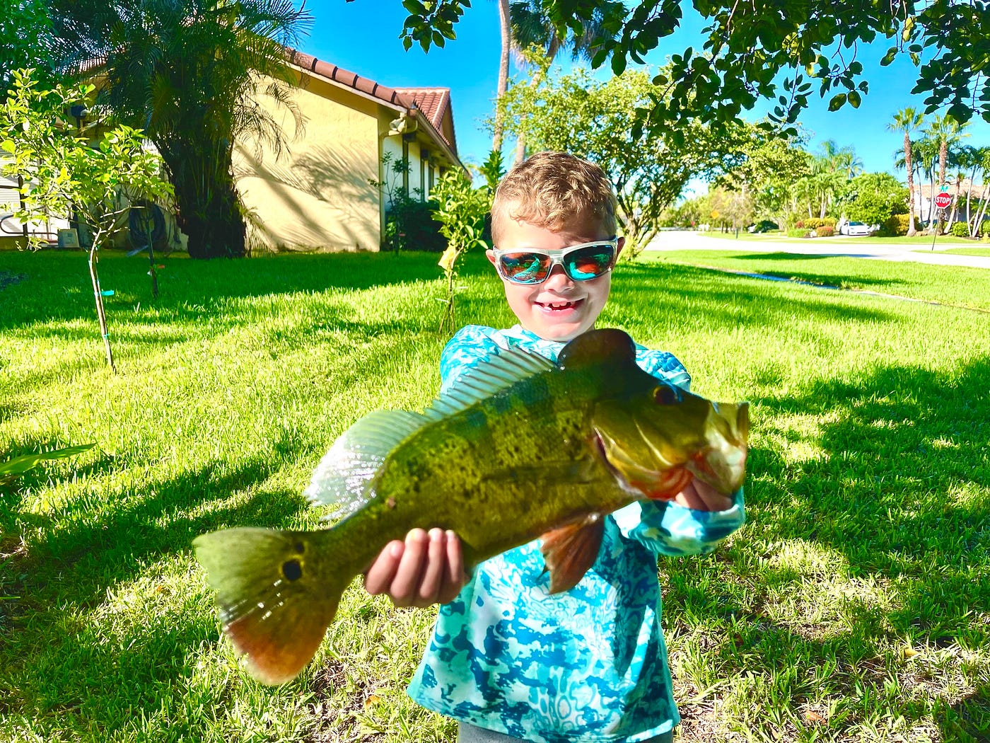 Decoding the “Peacock Bass Bed”: A Masterclass in South Florida Sight Fishing