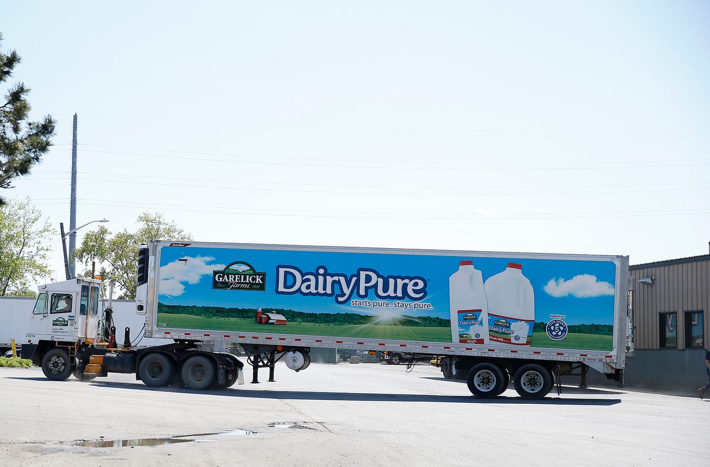 Why Are All the Dairy Companies Going Bankrupt? | by Eric Gardner | Marker