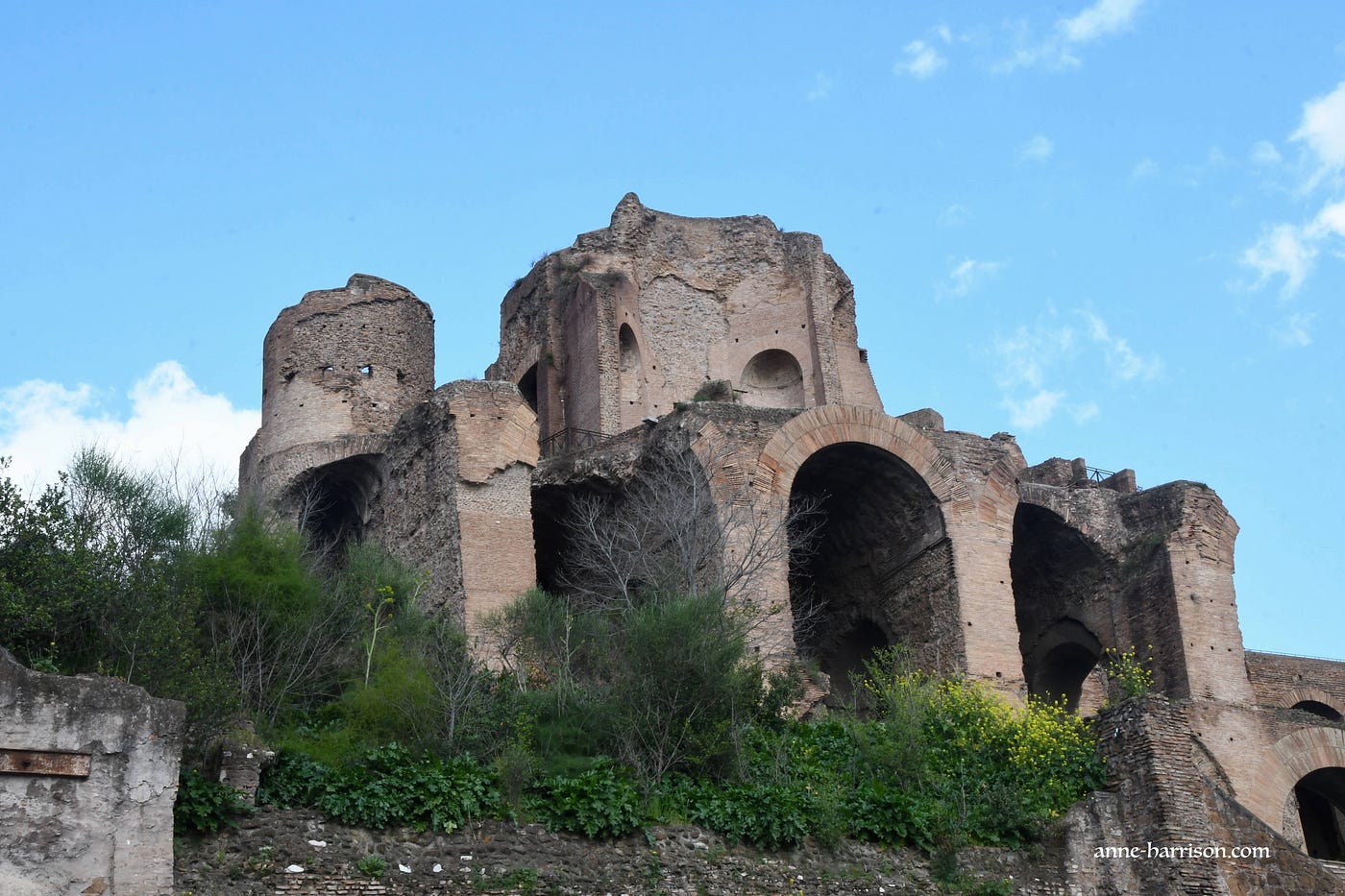 Ruins in the Forum © A. Harrsion