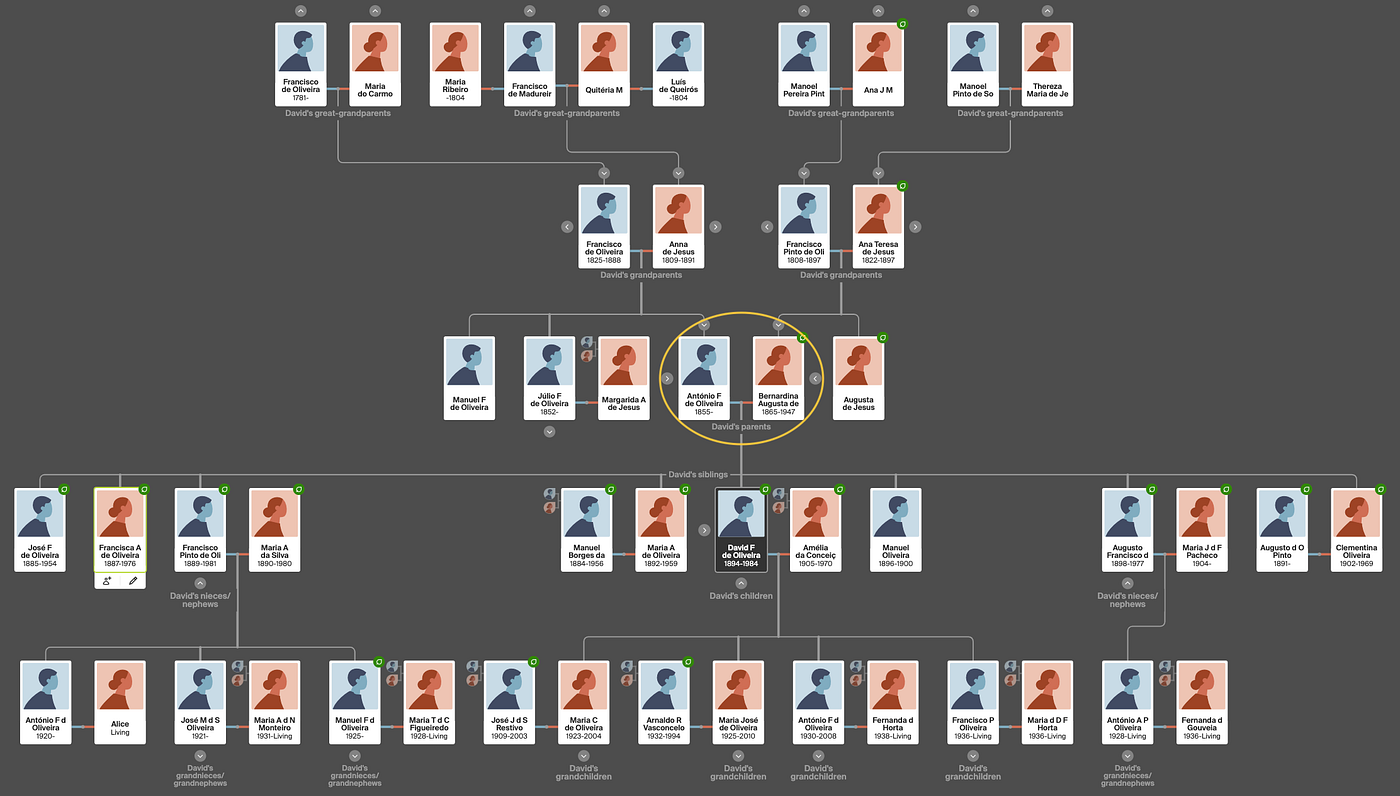 Visualizing family networks