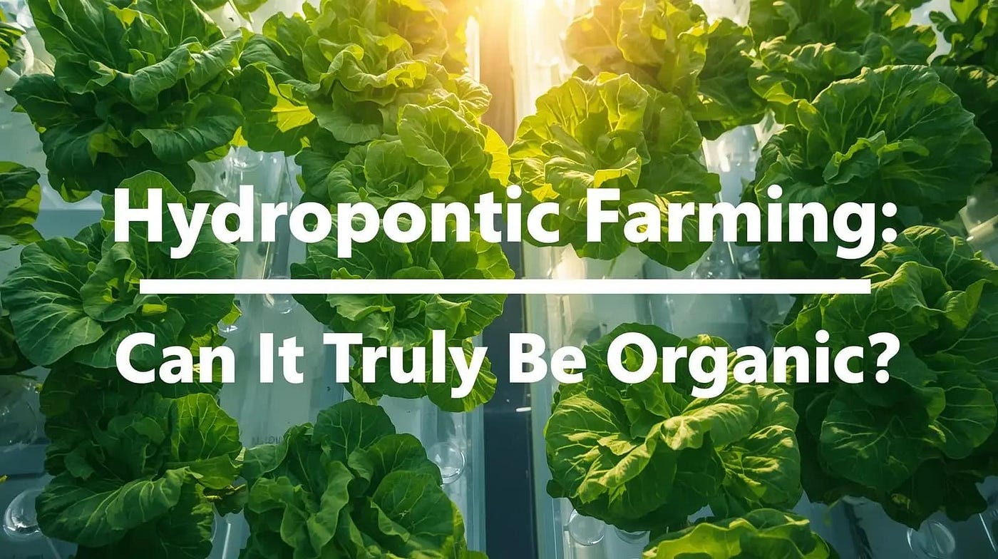 What is Hydroponic Farming? — Harisharan Devgan