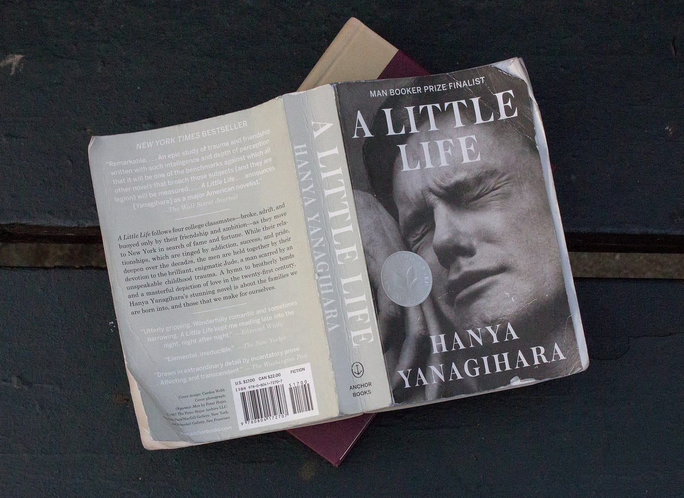 A Little Life by Hanya Yanagihara, Paperback