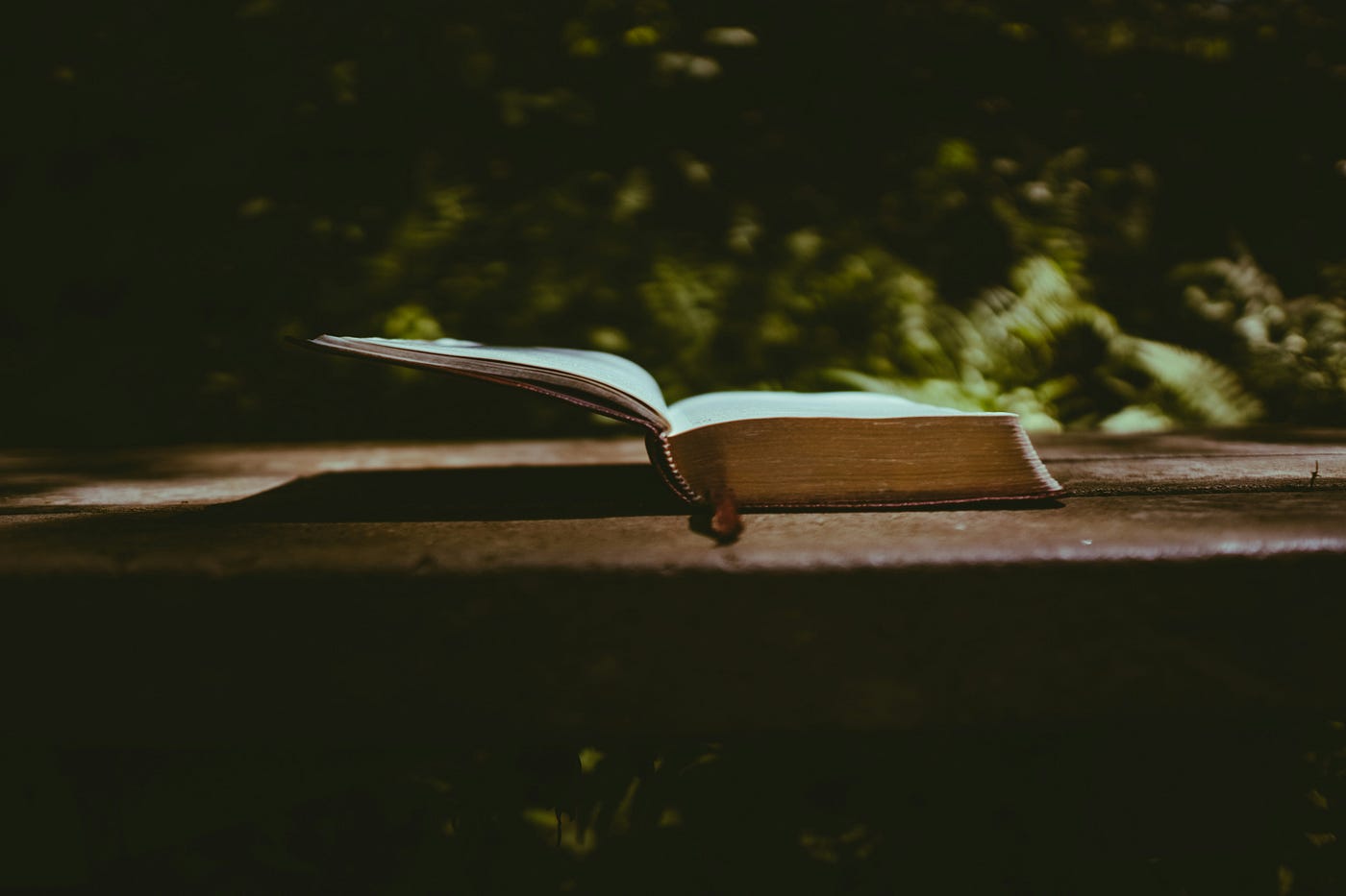 Photo by Hartono Creative Studio - from Unsplash