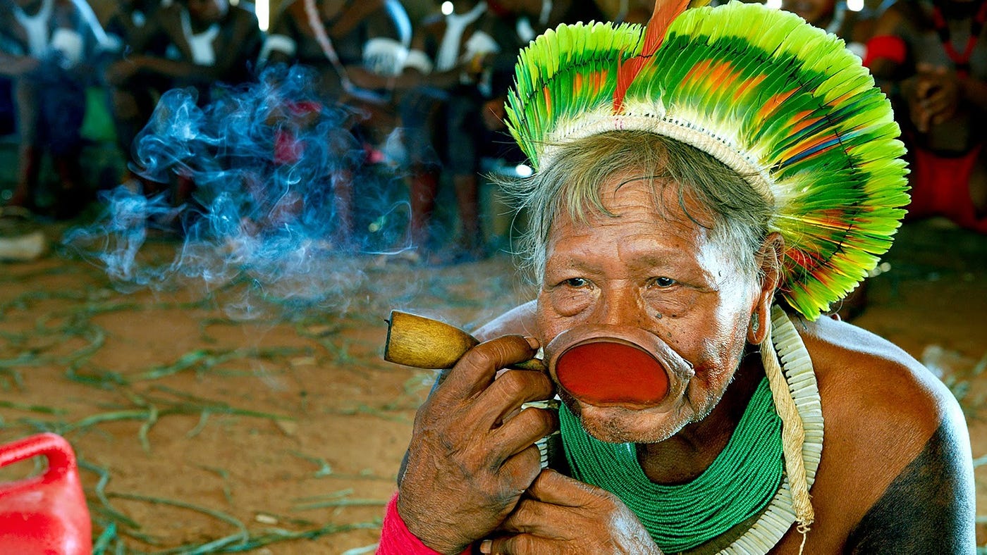 nude xingu tribal girls pussy open 
