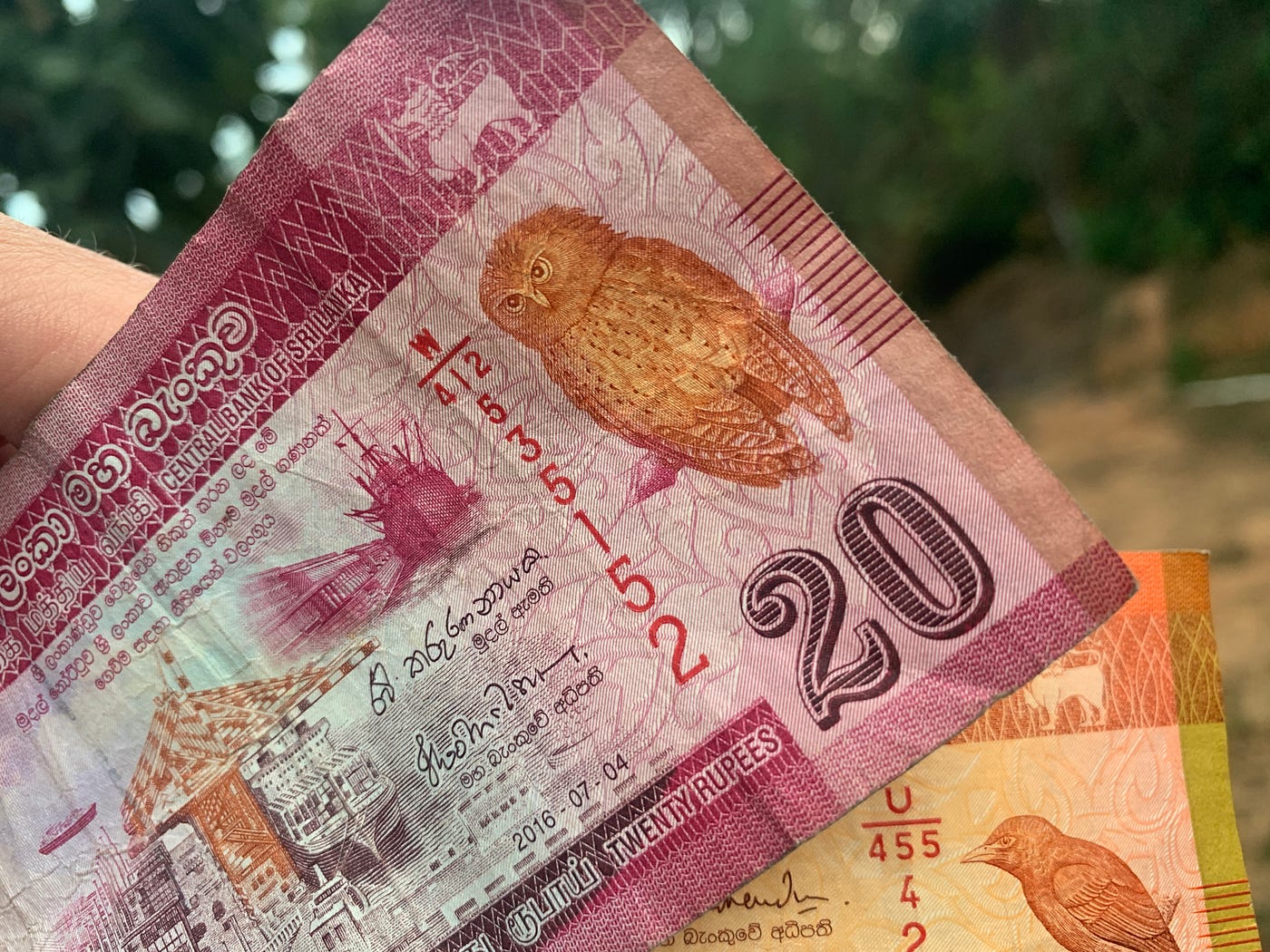 Sri Lanka's Money Has Birds All Over It | by Shawn Forno | The Bigger  Picture | Medium