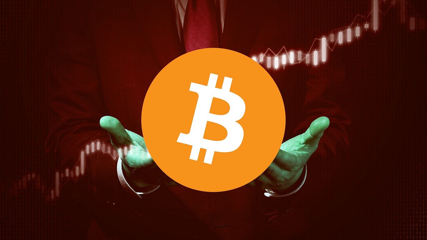 Does Nassim Taleb Really Understand Bitcoin? | by Tom Mitchelhill | NGMI  Newsletter | Medium