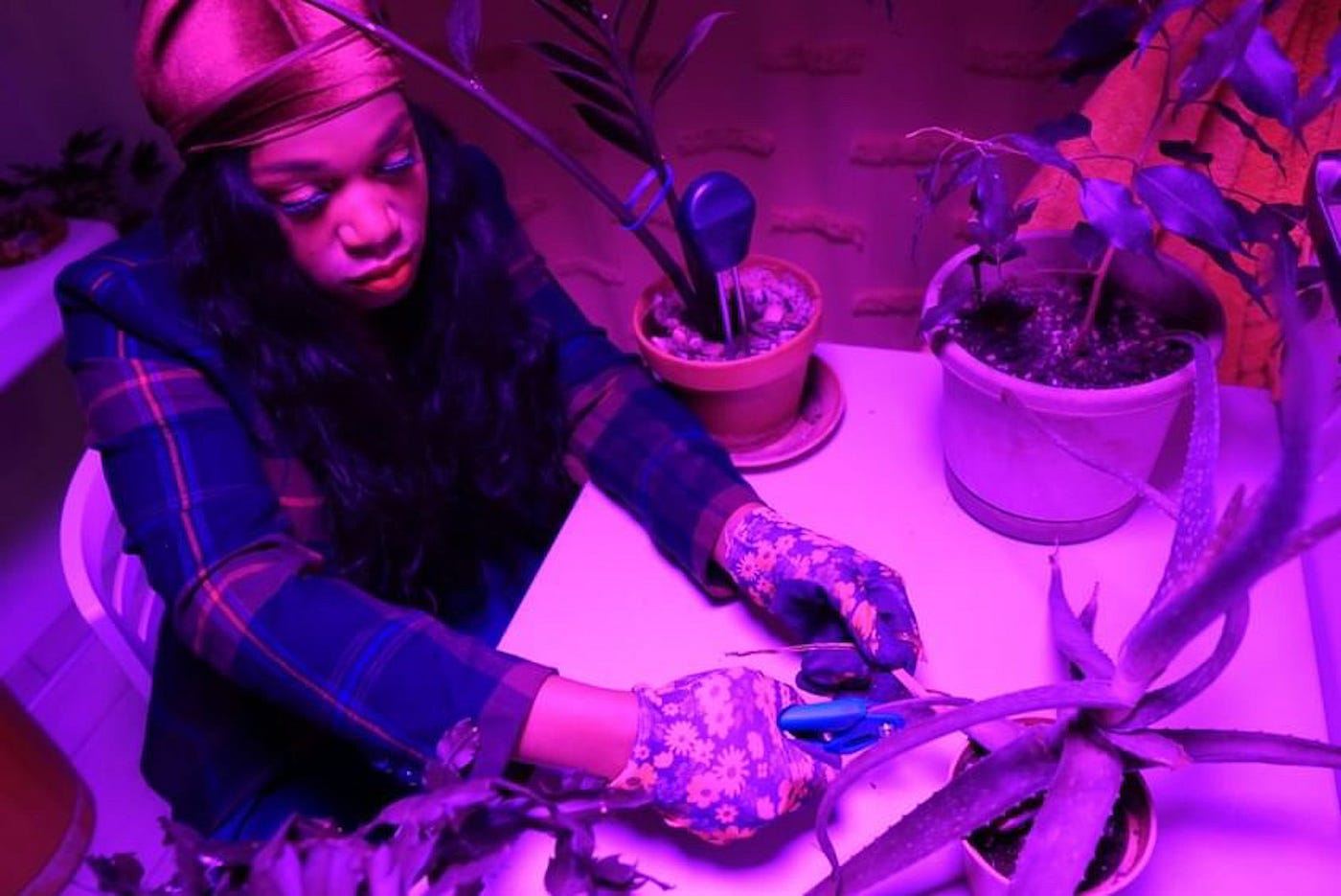 Rene trimming an aloe plant under a UV light. Photo by Grand Martell