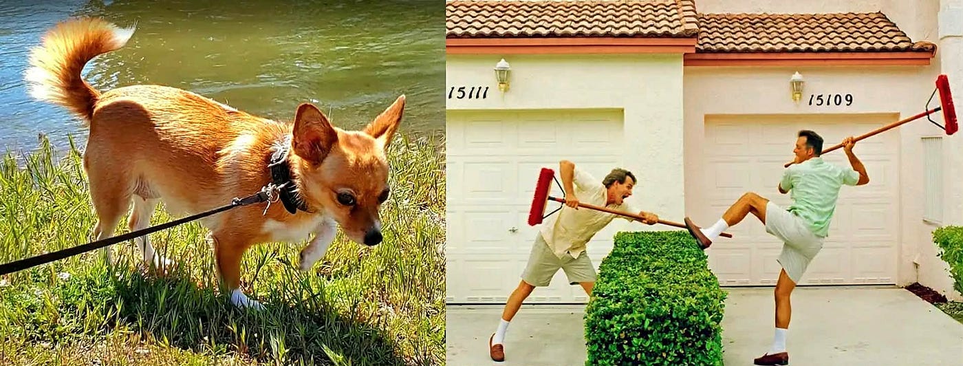 Who Are the Fuckwits in Your Neighborhood?