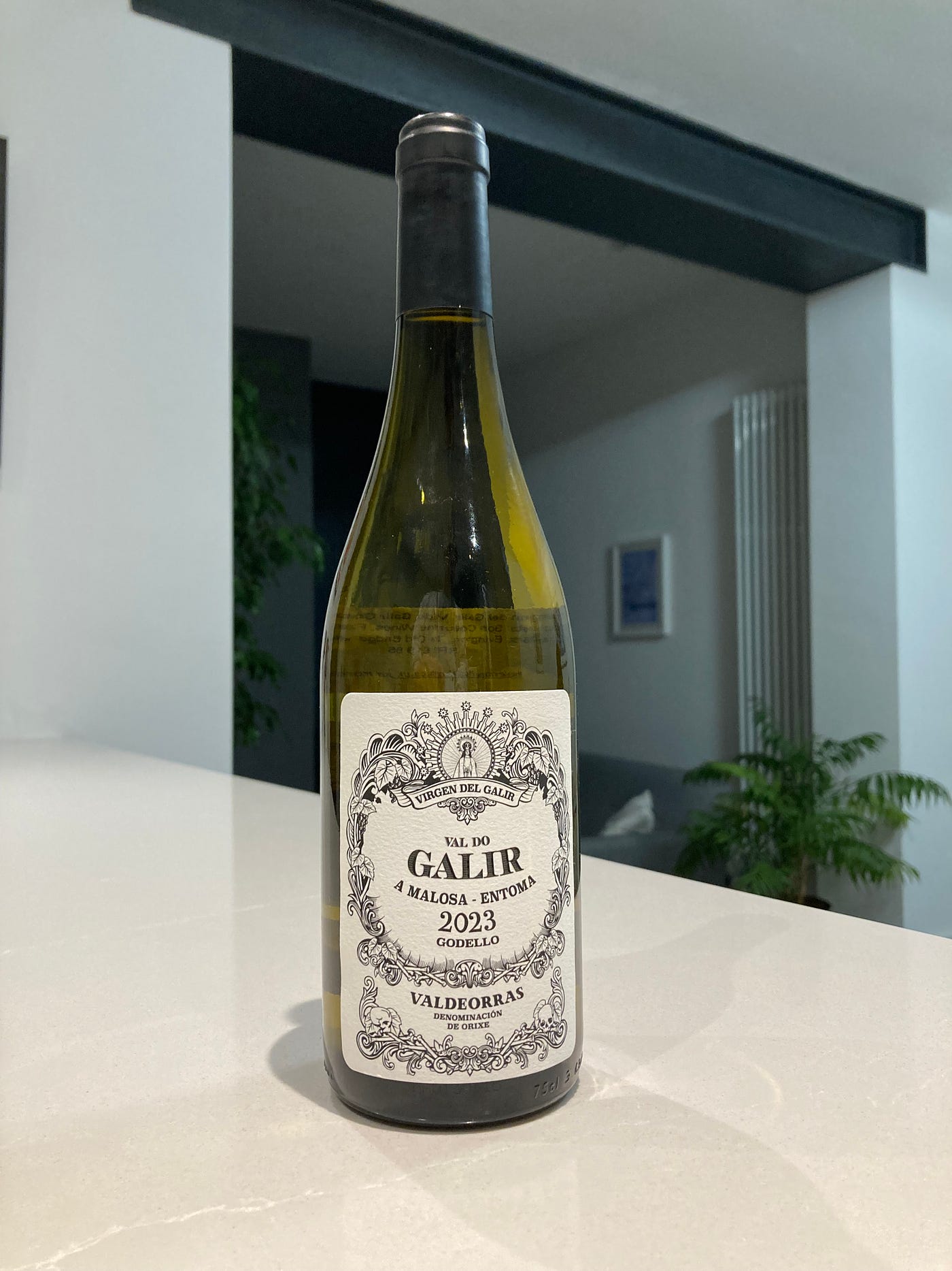 Val do Galir Godello 2023