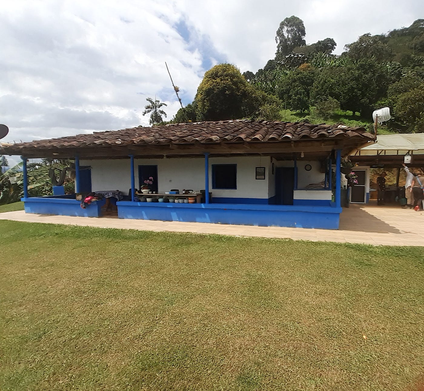 Visiter une ferme de café organique