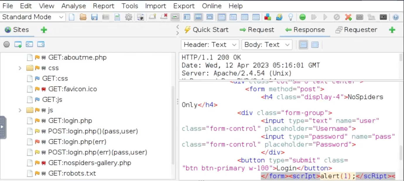 DAST TryHackMe Walkthrough | TryHackMe Writeup | THM | by Angie | OSINT Team