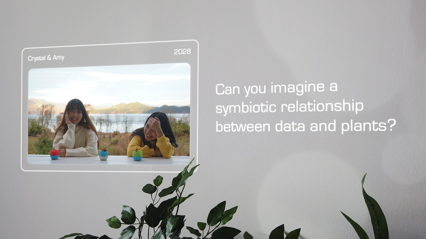 Plant-based data storage: Imagining a symbiosis between plants and data |  by The Design Amplifier | Bootcamp | Medium
