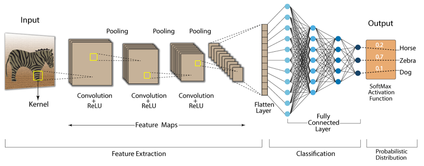 Convolutional Neural Networks: AlexNet, U-Net, ResNet and DenseNet Architectures
