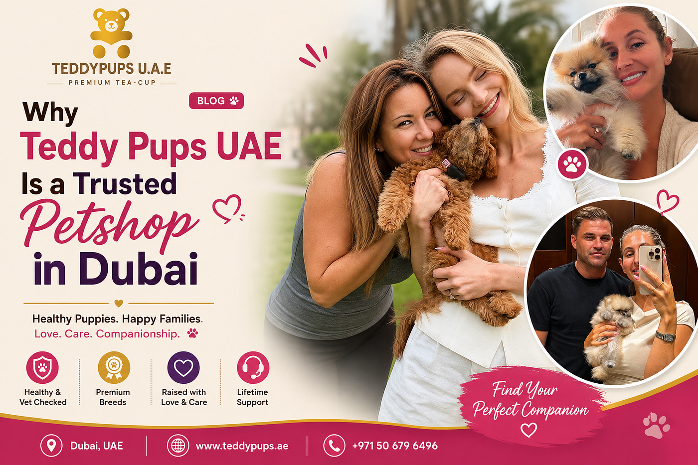 Why Teddy Pups UAE Is a Trusted Petshop in Dubai