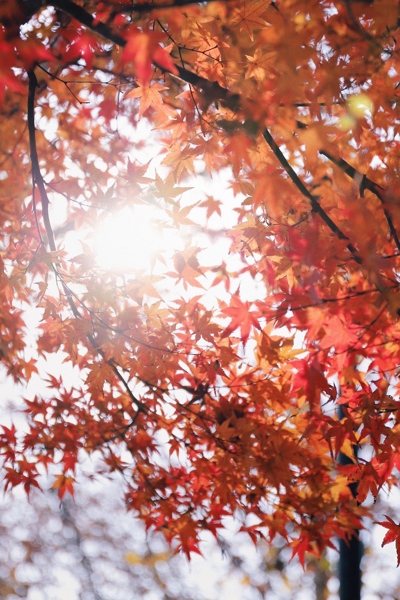 Foto: Raychan / Unsplash