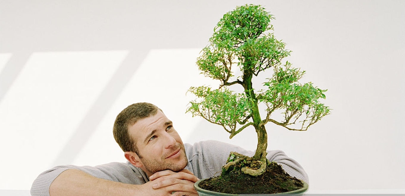 On bonsai aesthetics. It's winter time and for the bonsai | by  Marc-Antoine Ducas | Medium
