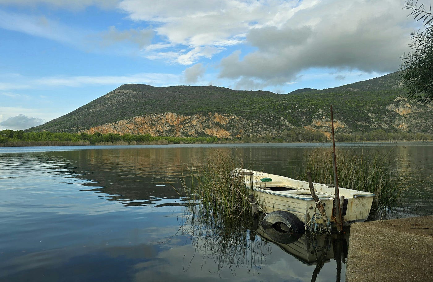 Lake Canobolas and the Bass That Keep Surprising Everyone