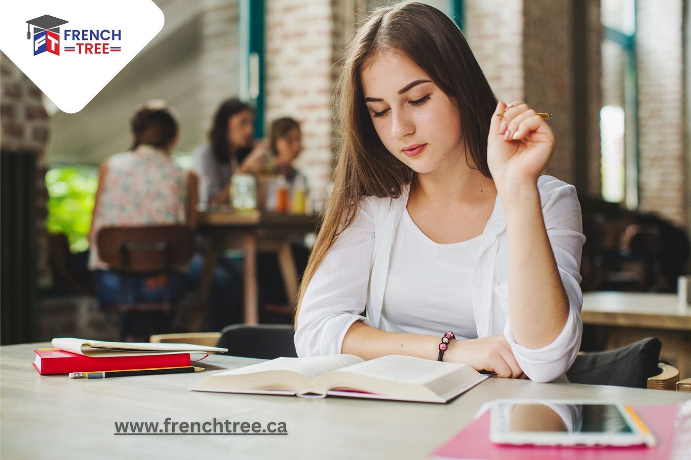 Why A TEF Preparation Course is The Key To Scoring High in The Exam