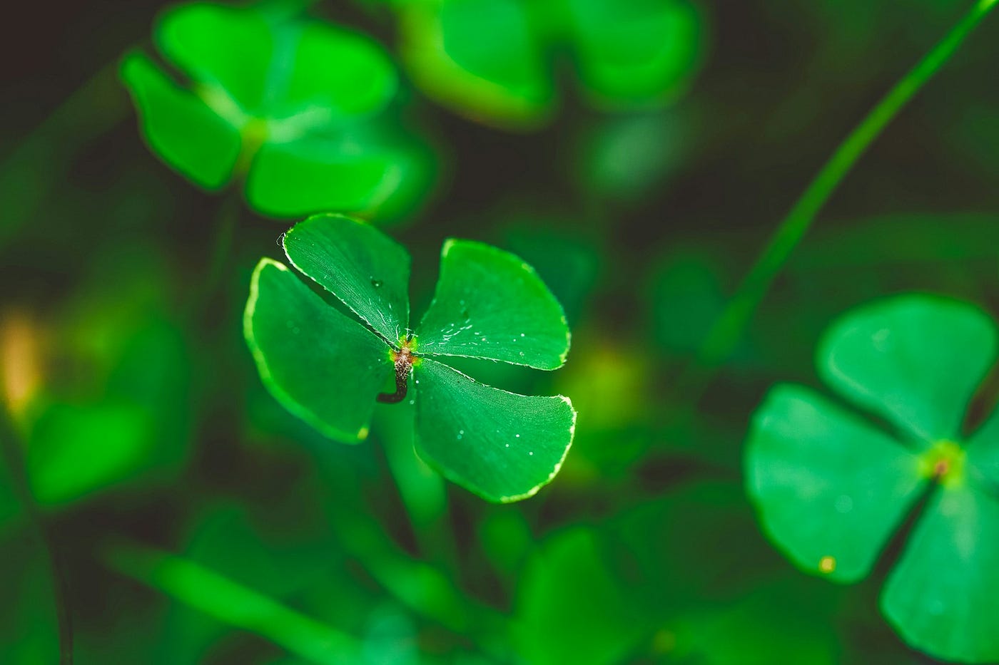 Make Your Own Luck With Credit